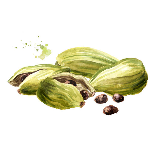 cardamom