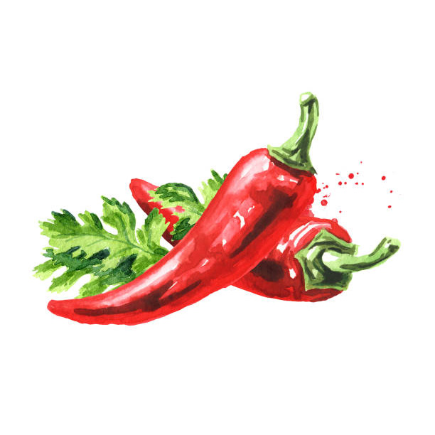 thai chili