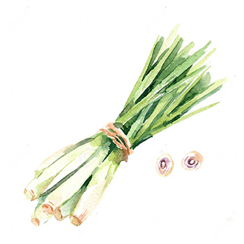 lemongrass